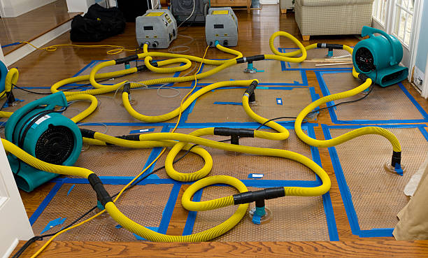 Professional Basement Flood Cleanup technician working in Ray, MI